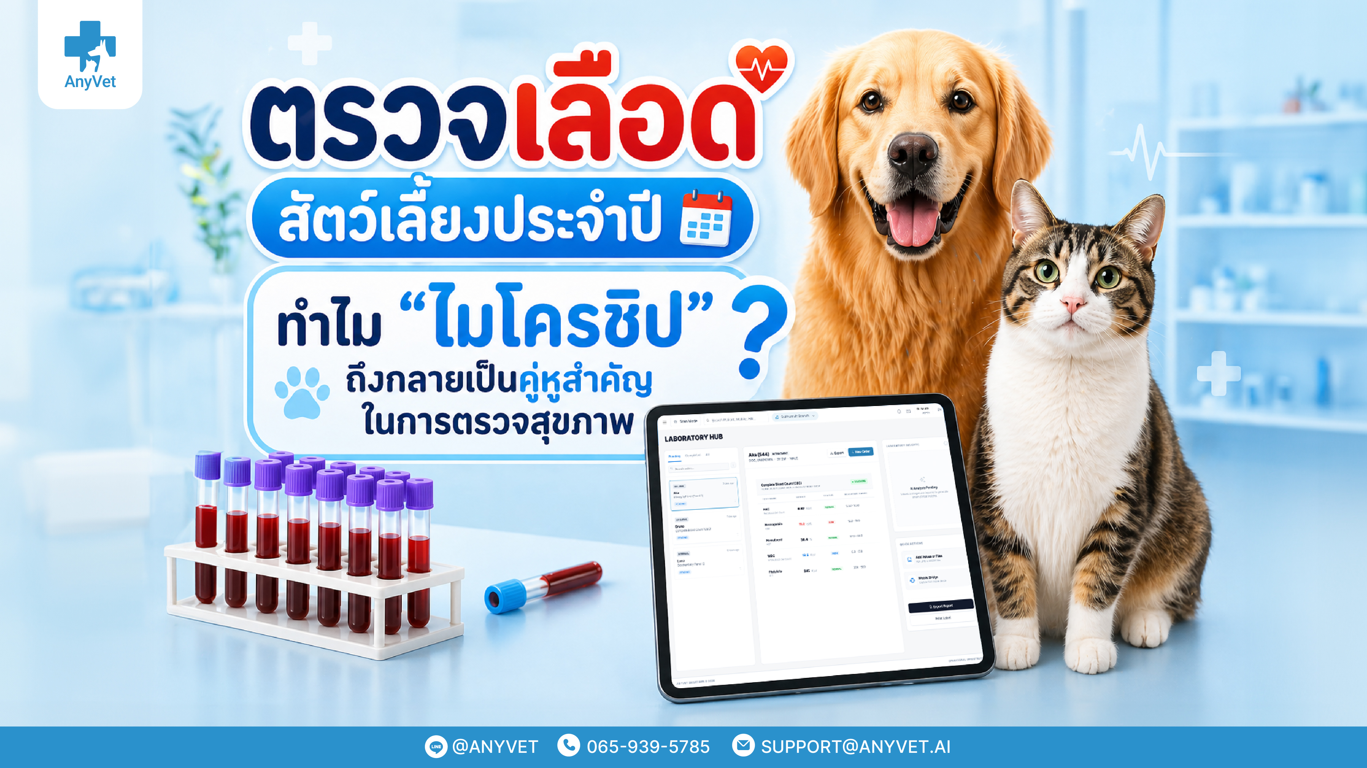 Annual Pet Blood Tests: What Do They Reveal? And Why is the "Microchip" a Vital Partner in Healthcare?